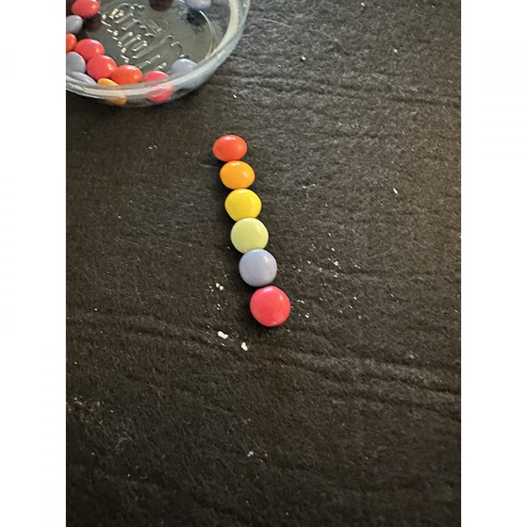 Charlotte_5_Raupe-Nimmersatt-Bunt