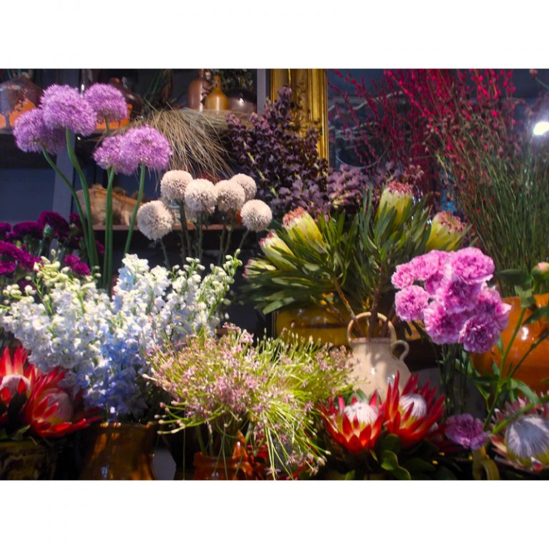 Die-blumig-Bunten_11_Farbenfrohe-Pflanzenwelt-5