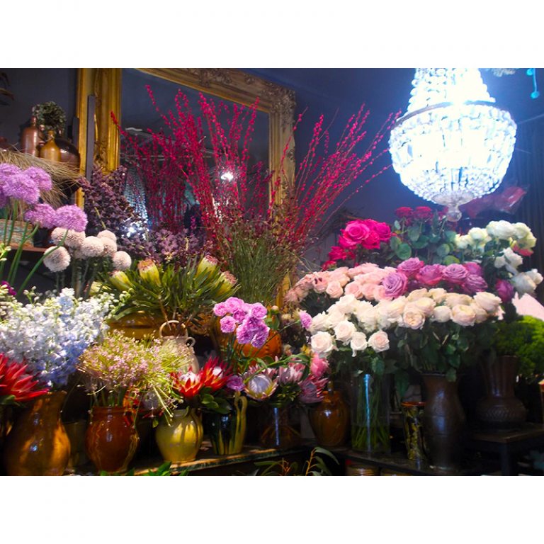 Die-blumig-Bunten_11_Farbenfrohe-Pflanzenwelt-6