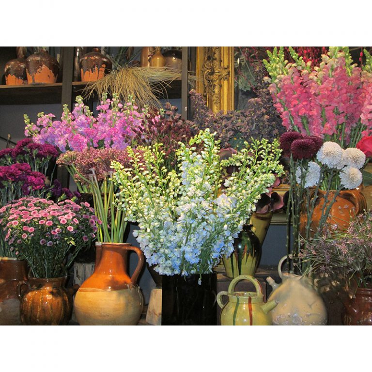 Die_bunten-Fotografinnen_9-10_Das-Blumenparadies