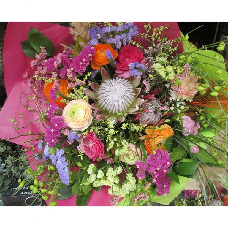 Die_bunten-Fotografinnen_9-10_verschieden-bunte-Schoumlnheiten