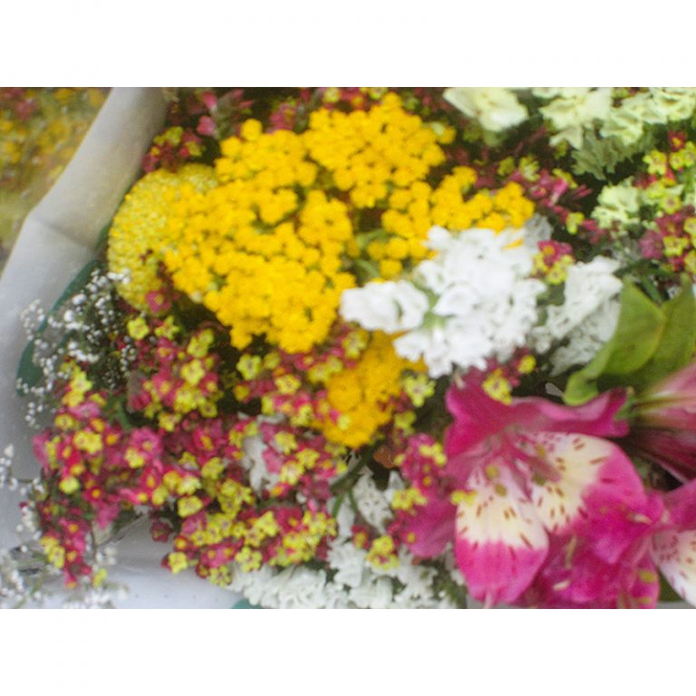 Felicia_8_Jahre_Viele-Blumen