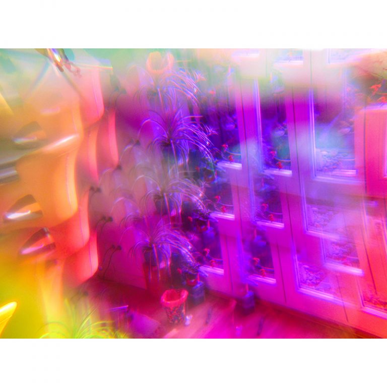 Flora_11_Hundertmal-bunt