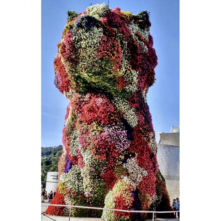 Gisela-Gymnasium_5c_10-12_Blumenhund