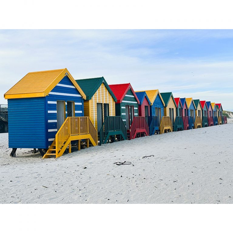 Gisela-Gymnasium_5d_11-12_Bild-6