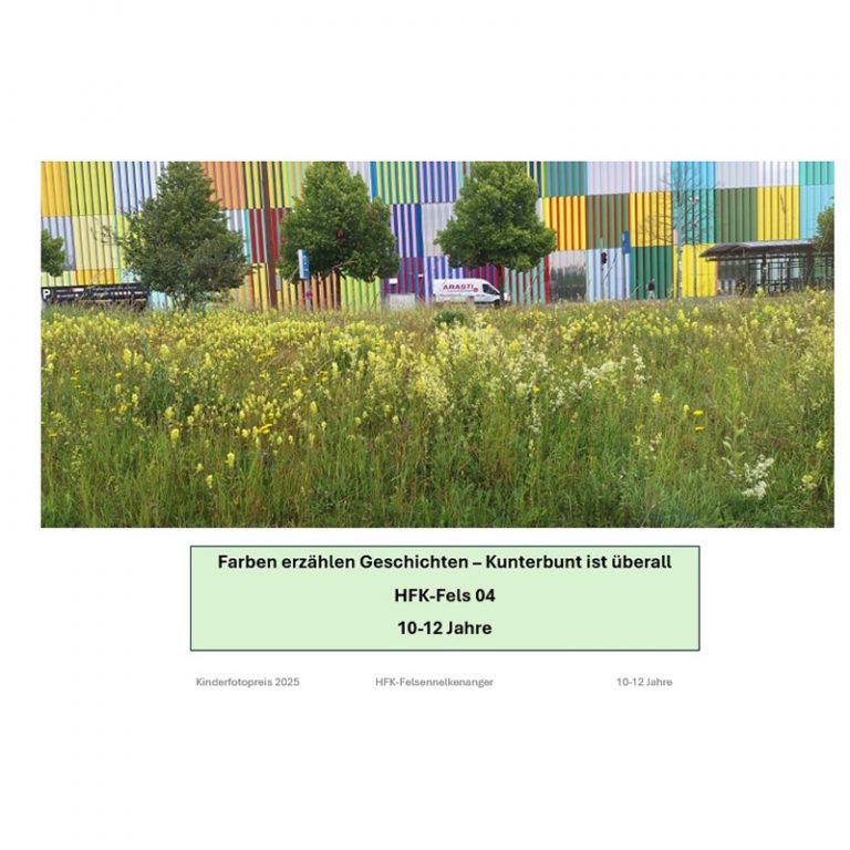 HfK_Felsennelkenanger_-_Hort_10-12_Farben-erzaumlhlen-Geschichten-–-Kunterbunt-ist-uumlberall