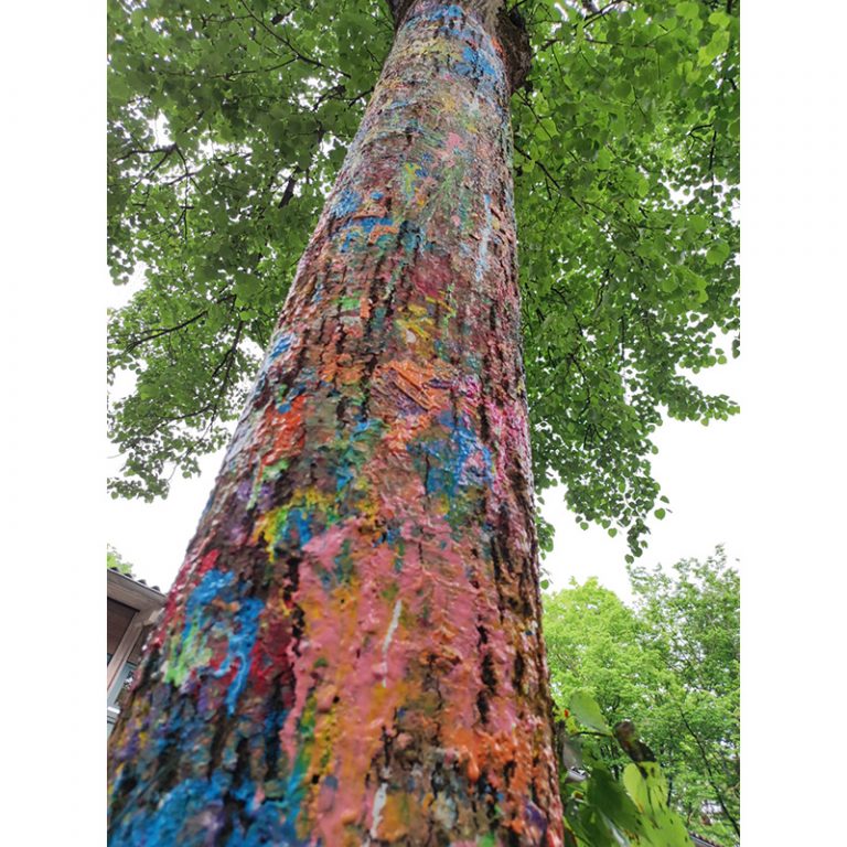 HfK_Rothpletzstr_8-9_Ein-Farbenspiel-der-kleinen-Kuumlnstler