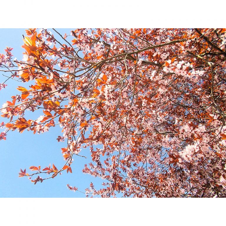 Hort_Astrid-Lindgren-Str