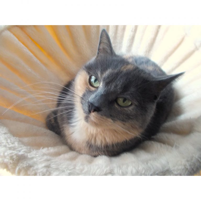 Hort_Astrid-Lindgren-Str