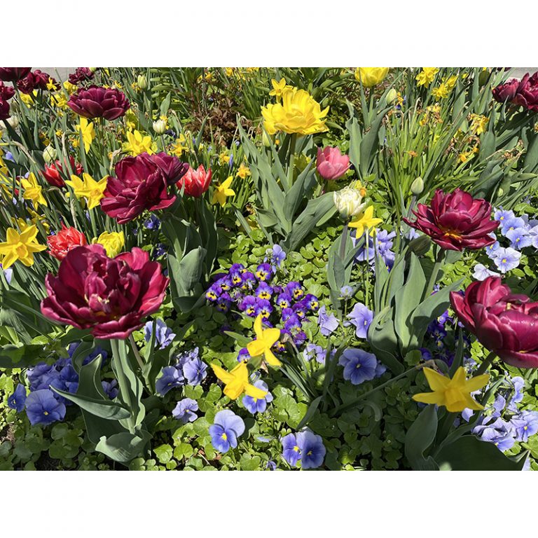 Jakob_11_Schoumlne-Blumen-auf-einer-Wanderung