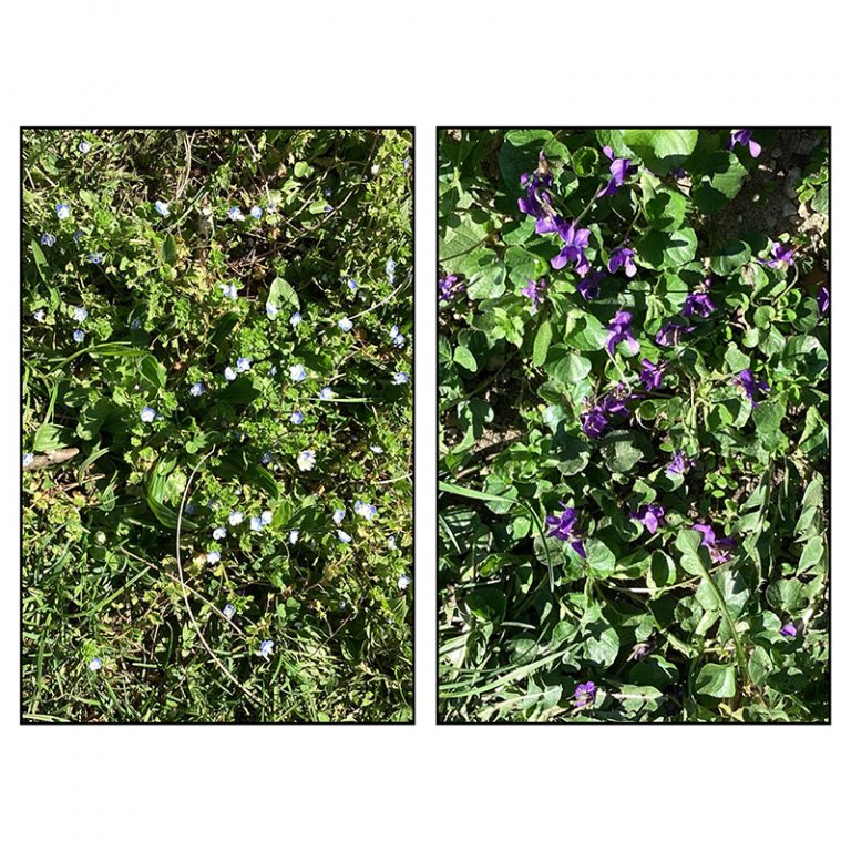 Johann-Nepomuk-von-Kurz_Schule_10-12_Gluumlck-in-gruumln