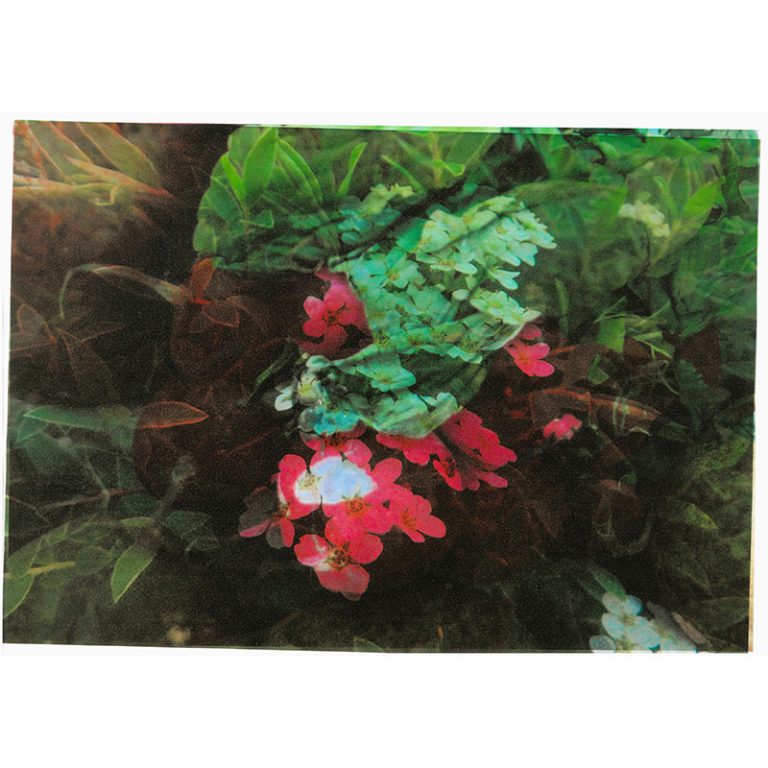 Kinderhaus_Markomannenstraszlige_7-9_Ampelbluumlmchen