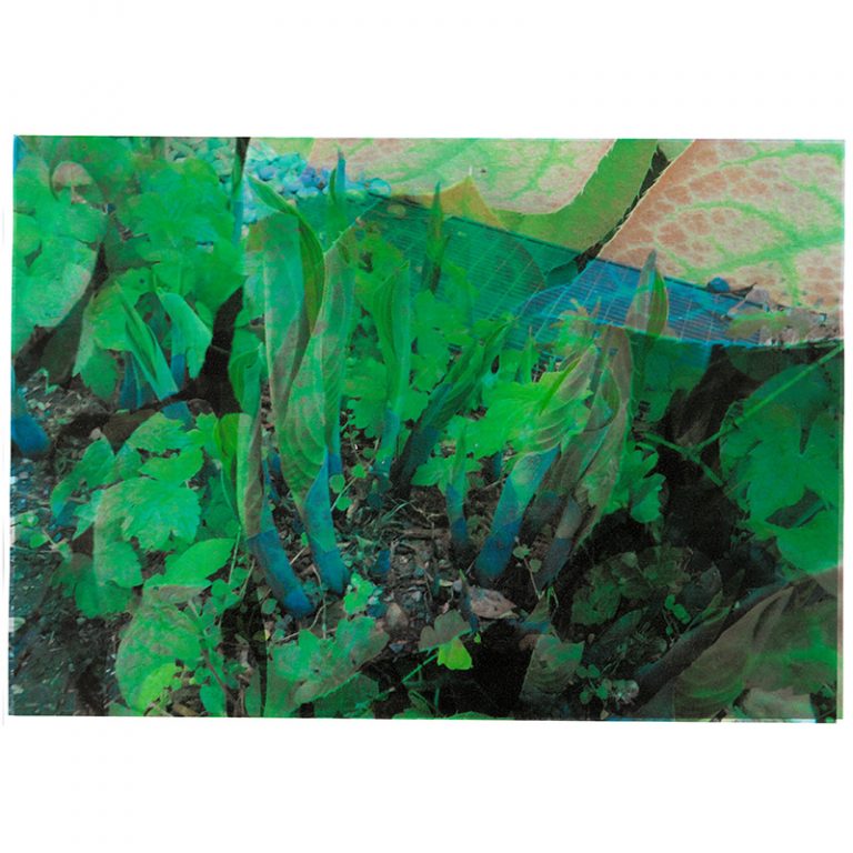 Kinderhaus_Markomannenstraszlige_7-9_Gruumlnes-Blatt