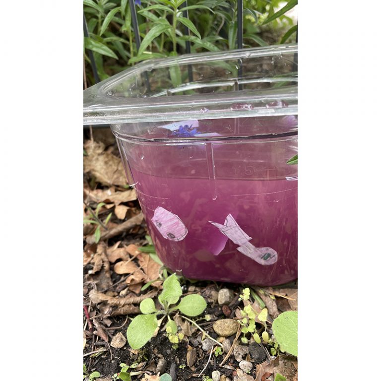 Kita_Baubergerstraszlige__Gipfelstuumlrmer_3-6_Das-bunte-Meer