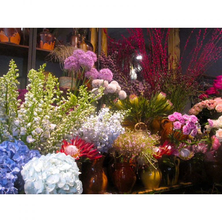 Mia_8_Die-farbenfrohe-Bluumltenwelt