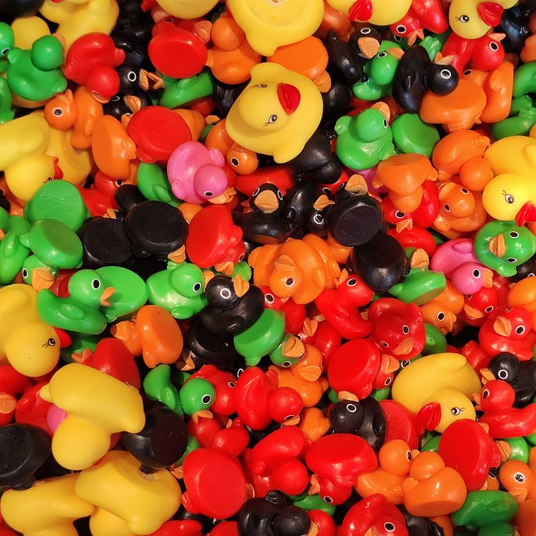 Philipp_11_Ententeich