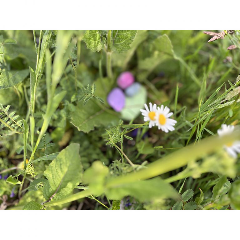 Refugio_Kunstwerkstatt_Graumlfelfing_9-12_Die-Natur-und-alle-Farben