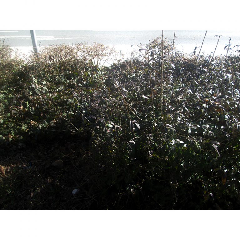 Refugio_Kunstwerkstatt_Graumlfelfing_9-12_Licht-und-Schatten-spielen-verstecken