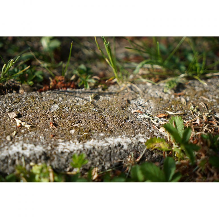 Refugio_Kunstwerkstatt_Landsberger-Kids-2_5-6_Die-Ameisen-spielen-Verstecken-mit-uns