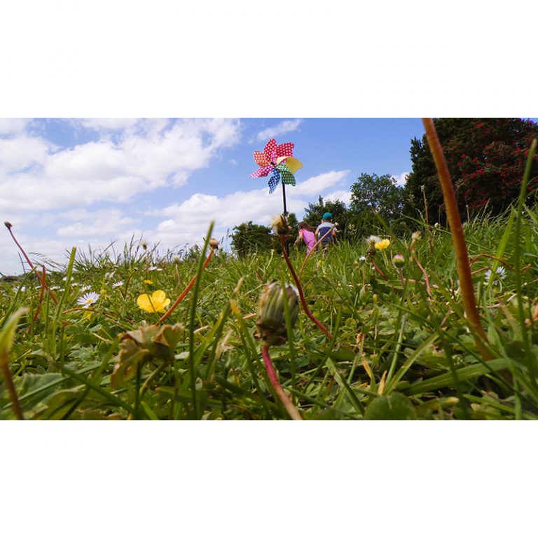 KODAK Digital Still Camera