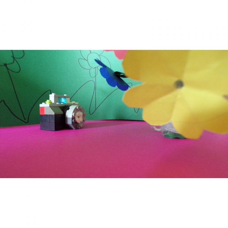 KODAK Digital Still Camera