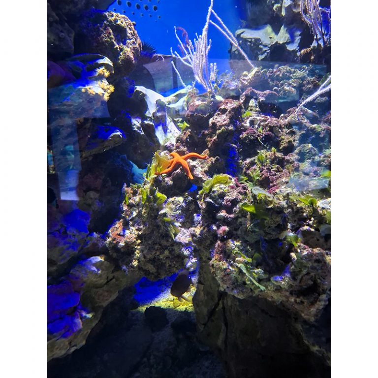 Tim_Alexander_5_Buntes-leben