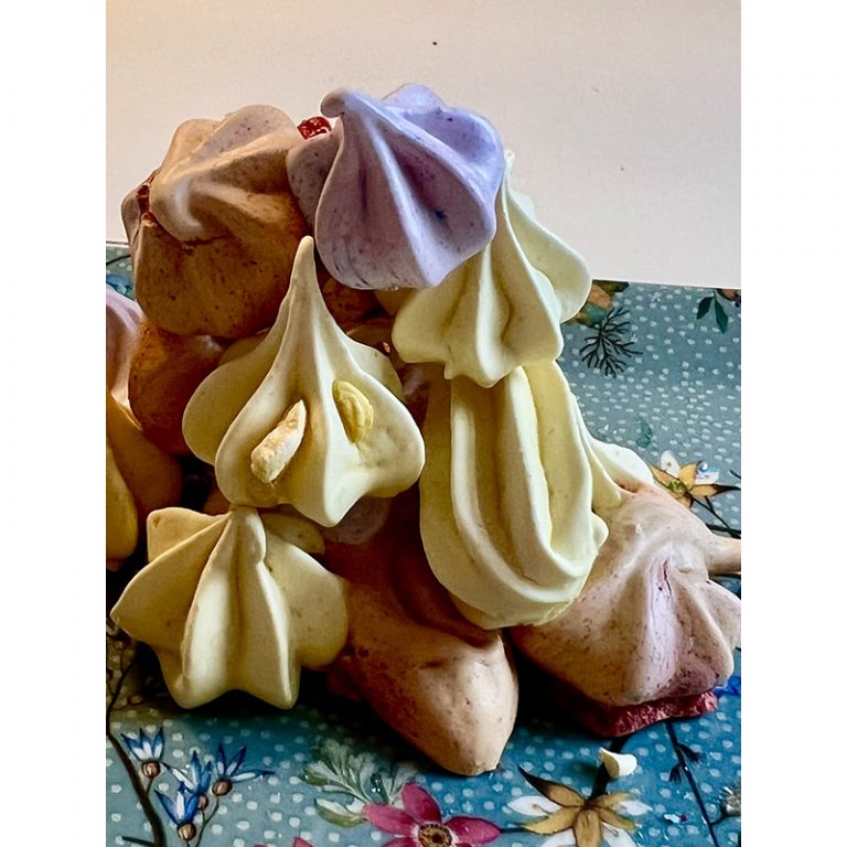 Toni_7_Kunterbunte-Meringuen