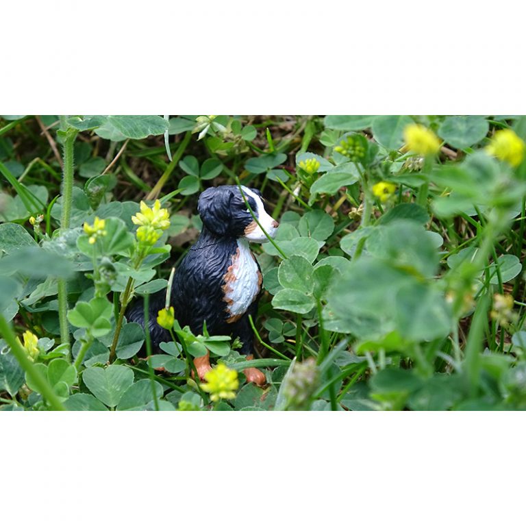 Veronika_10_Pespektivwechsel