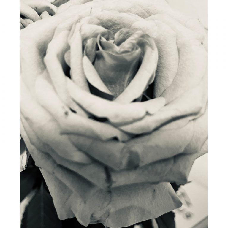 Ida-11-Jahre-Die-Rose