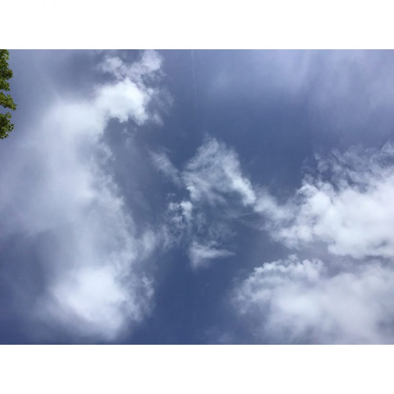 Kiga-Biberbau-Untergiesing-4-bis-5-Jahre-Blick-in-den-Himmel