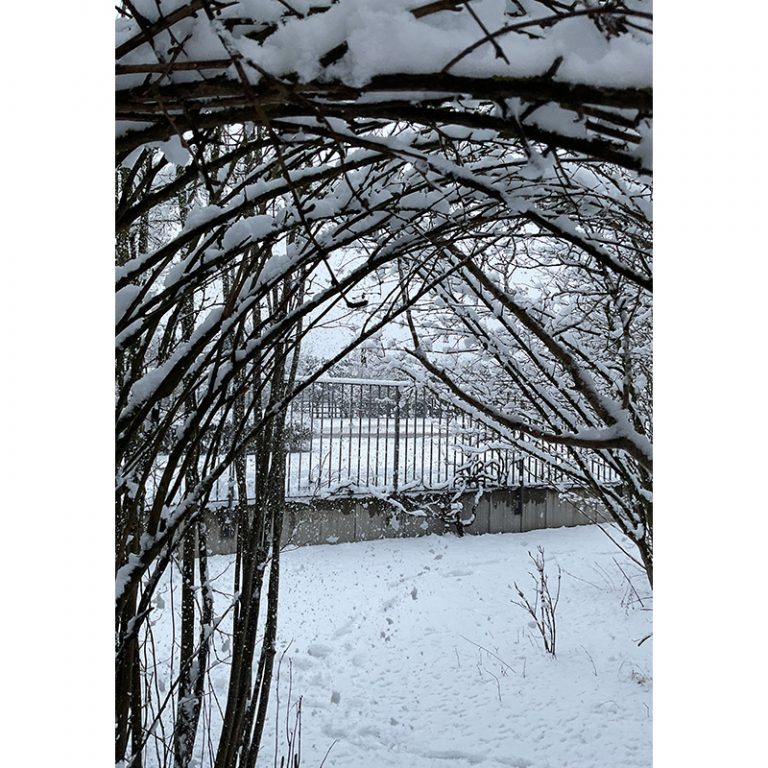 Montessori-Schule-Dachau-Opalklasse-9-bis-10-Jahre-Winterland