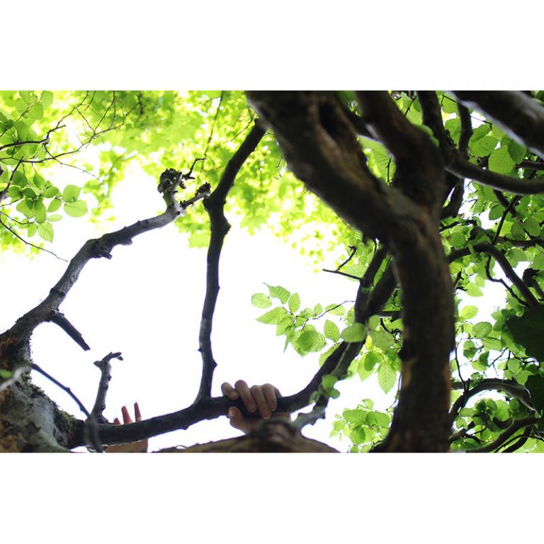 Muenchner-Waisenhaus-7-bis-9-Jahre-Gebuesch-von-unten