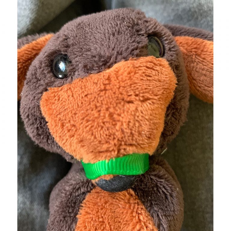 Samuel-9-Jahre-Daackeel