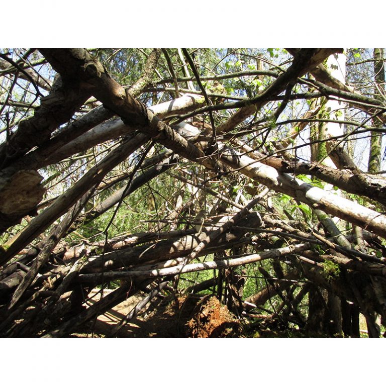 Temenos-Hort-7-bis-9-Jahre-Stabil-durch-Chaos